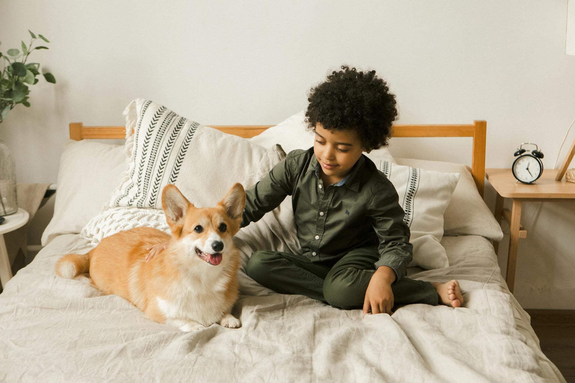 Menino com seu corgi em casa
